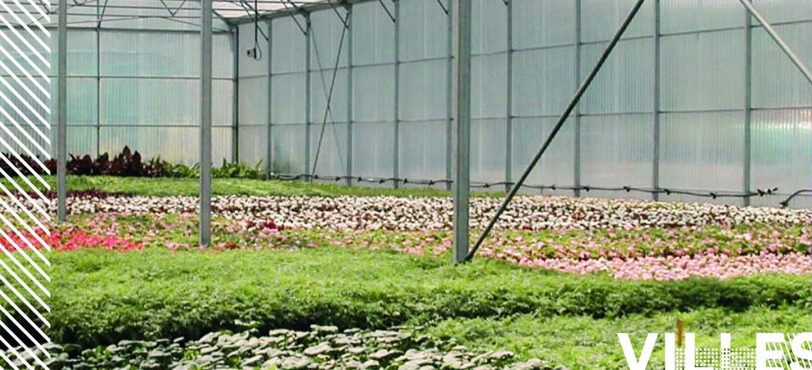 Les serres de Montbéliard © Mona +