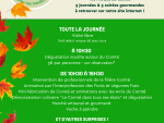 AFFICHE ANIMATIONS  - 11 Novembre  © La Maison du Comté 