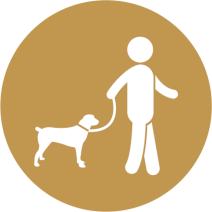 Avec votre chien
