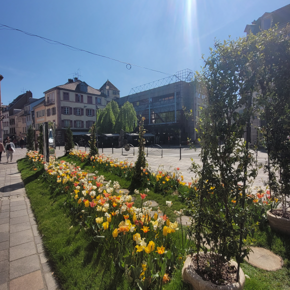 ©Office de Tourisme du Pays de Montbéliard Centre-ville