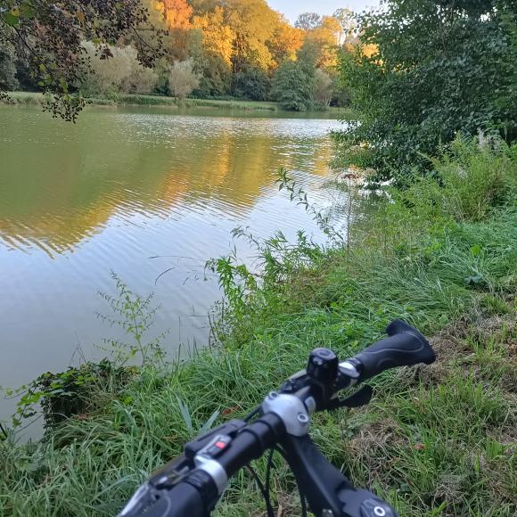©Pays de Montbéliard Tourisme Étangs des Princes