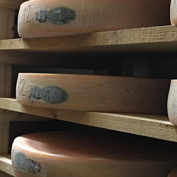 Cave à Comté des Fruitières du Lomont 