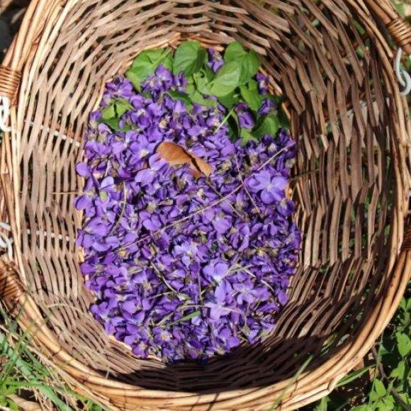 Le panier de Nadège©Babeth