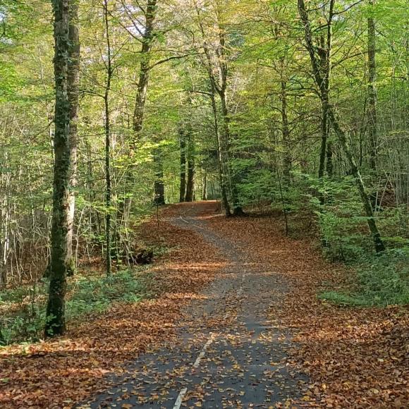 Piste cyclable au pied du Mont-Bart