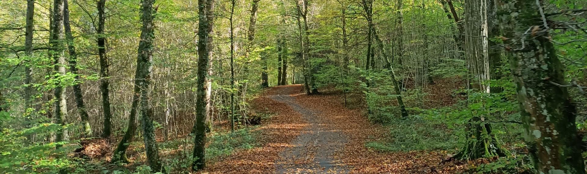 Piste cyclable au pied du Mont-Bart