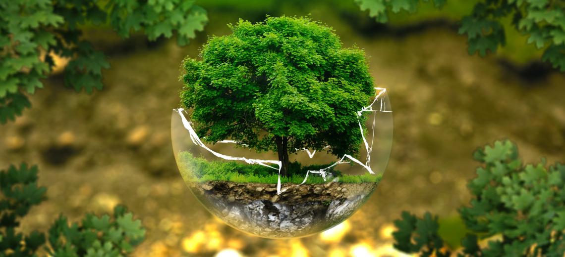 environmental-protection-326923 © libre de droit - Pixabay