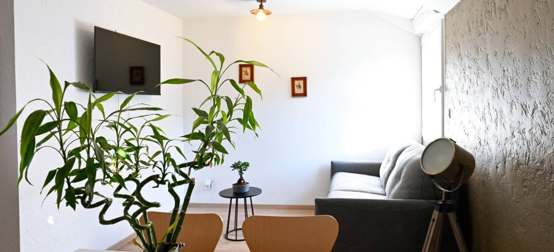 Appartement Cheval © DoubsTourisme_LCheviet