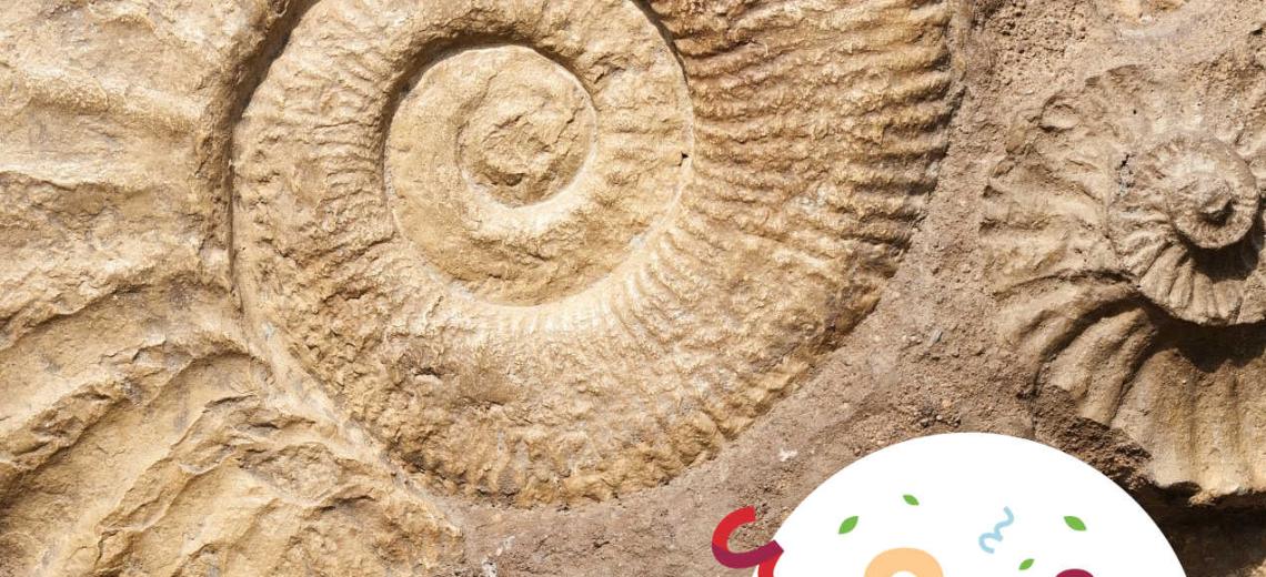 Fossile  © PIXABAY