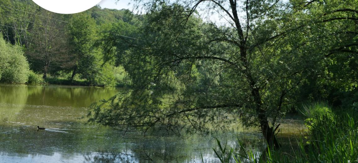 Balade sensorielle ©  A. Beuscart pour PMA