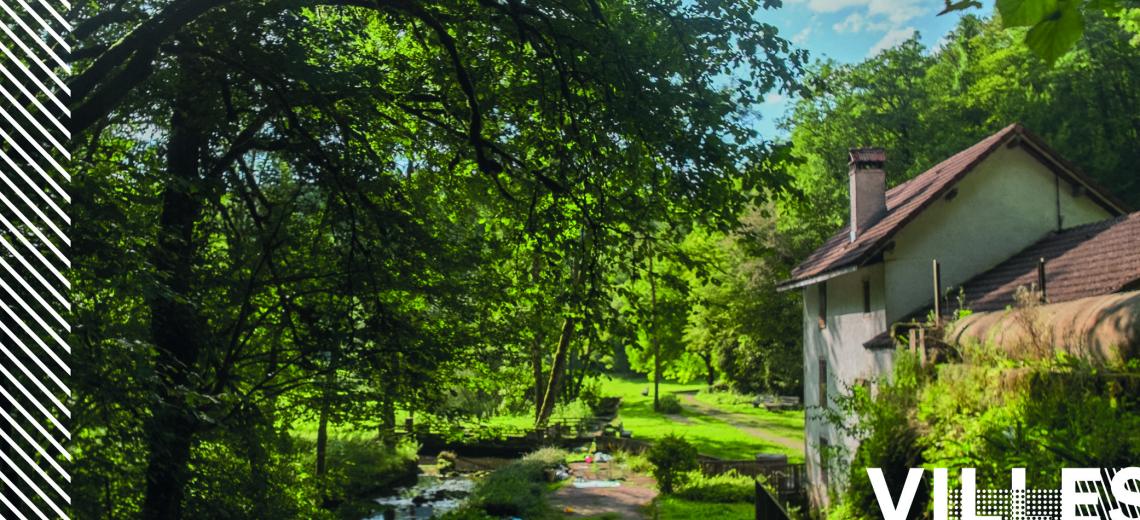 Le moulin de la Doue © Mona +