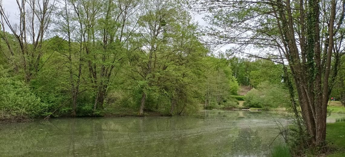 Étang de Beutal © Office de Tourisme du Pays de Montbéliard