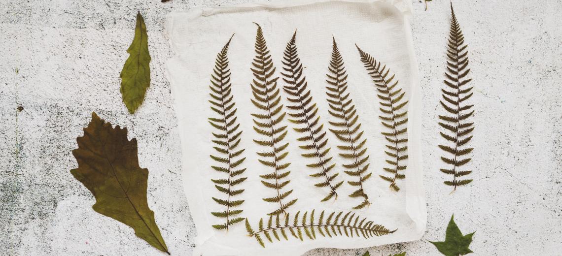 application-with-dried-leaves © fREEPIK
