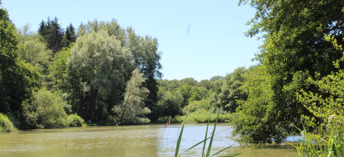 Étangs des Princes © Les Randonneurs de la Vallée du Rupt