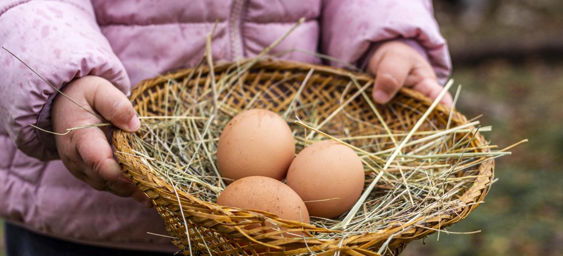 close-up-kid-holding-basket-with-eggs © Freepik