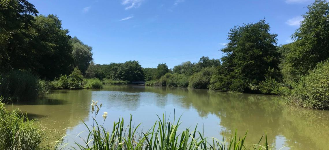 Étangs des Princes © Pays de Montbéliard Tourisme