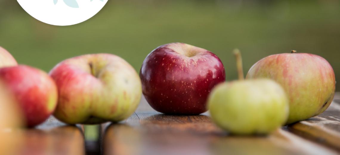 Tutti Frutti © Mona +