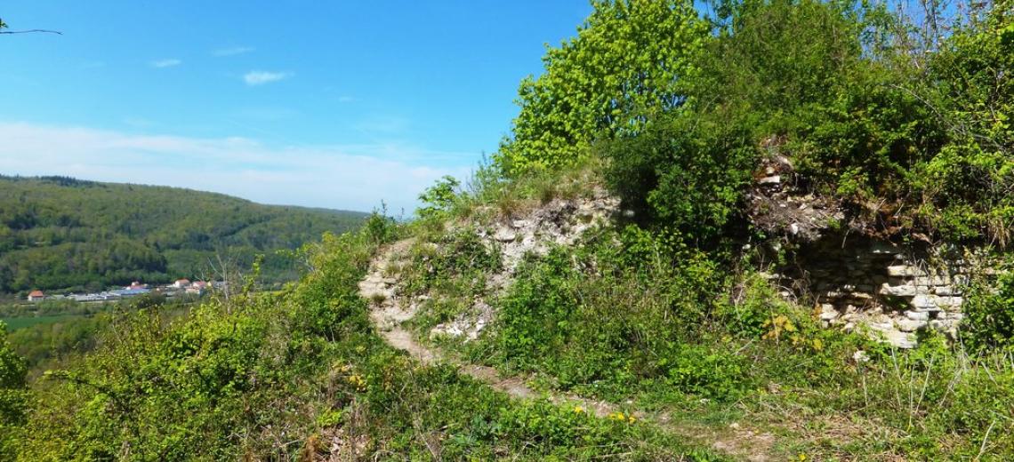 Mercredi découverte : Randonnée à Chambabon © ASPIR