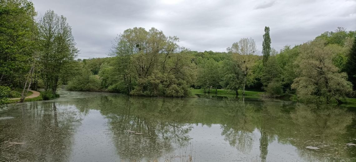 Étang de Beutal © Office de Tourisme du Pays de Montbéliard