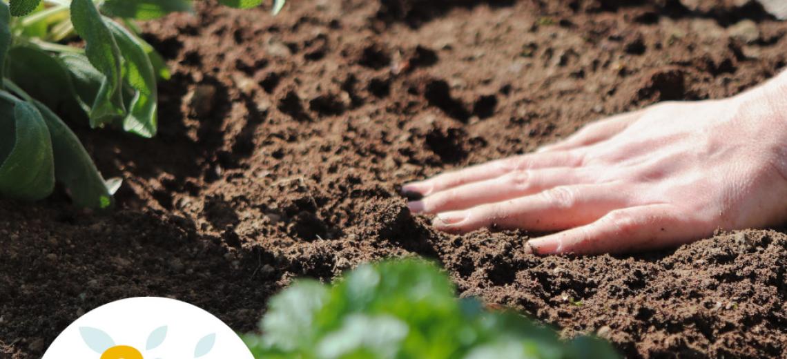 Les jardin d'IDéES © Mona +