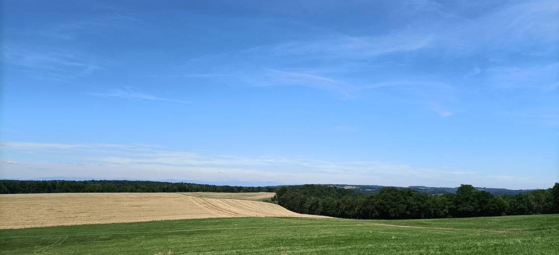 Randonnée Blamont ©Office de Tourisme du Pays de Montbéliard (10)_3 ©  Pays de Montbéliard Tourisme