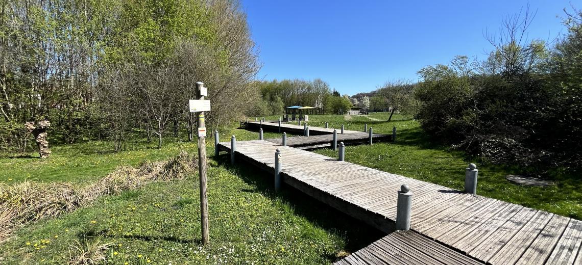 IMG_1609_4 ©  Robert Grillon - Club des marcheurs de Grand-Charmont