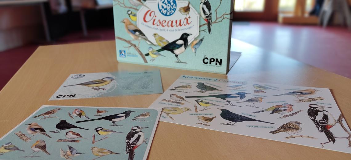 2026-02-04-kikimank © PMA