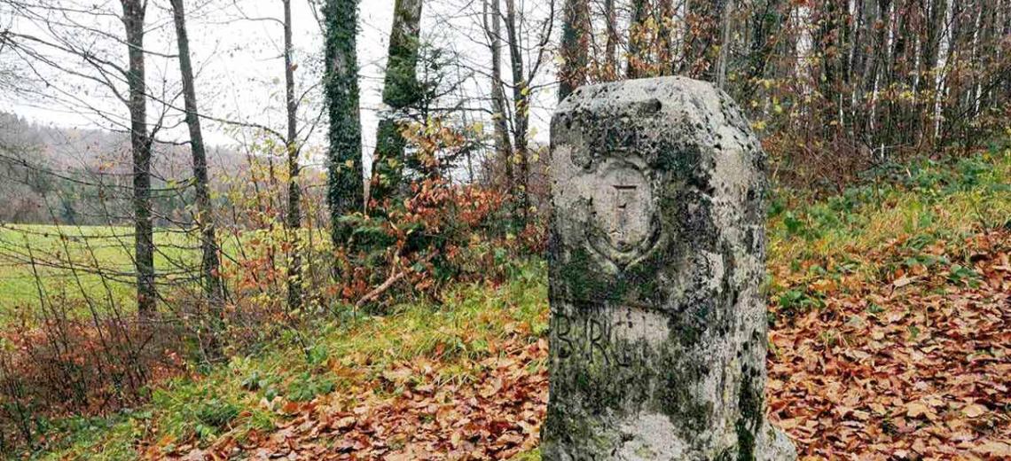 LES BORNES DE LA PRINCIPAUTÉ DE MONTBÉLIARD_1 © Jacky Tessier