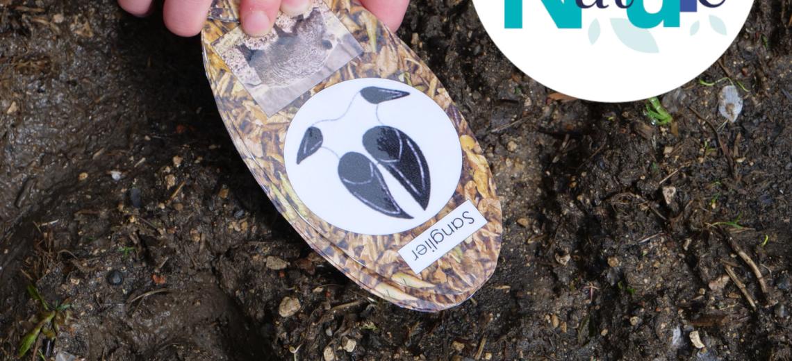 Sur la piste des animaux © Mona +