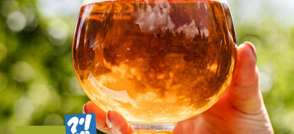 Bar des sciences 'La Low-Tech' © Le Pavillon des sciences