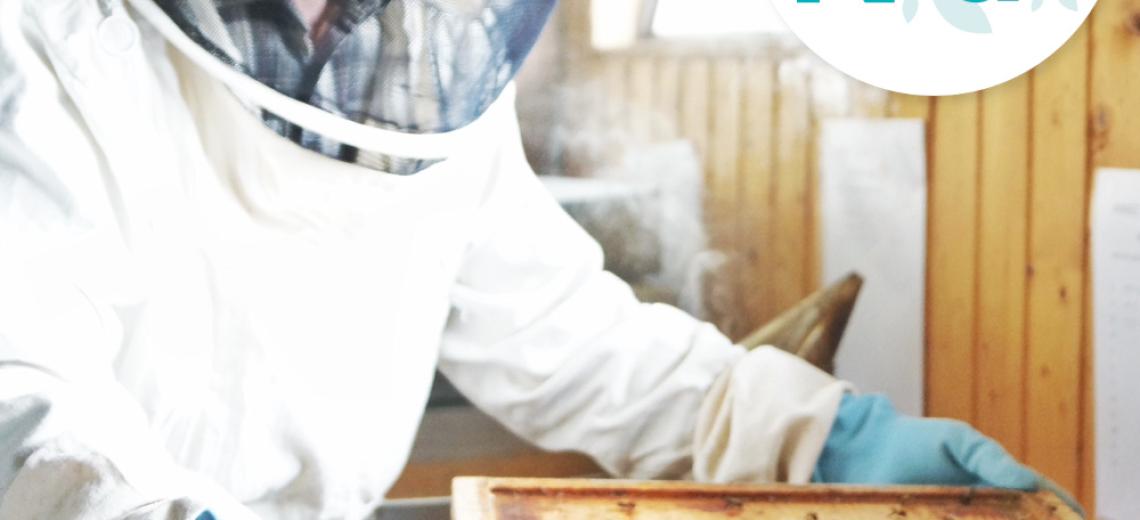 Le rucher-école ©  S. Durbic pour PMA