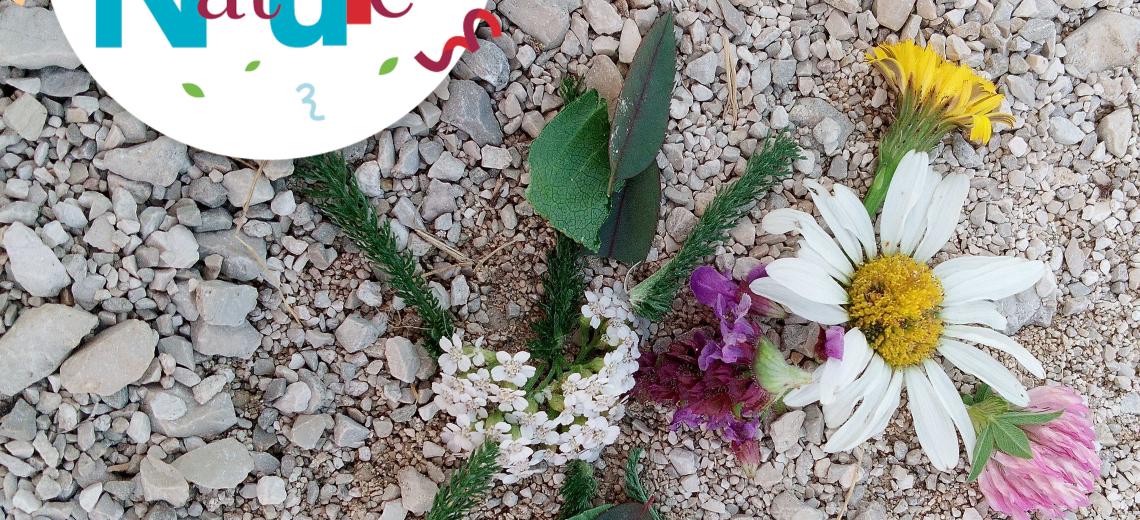 Land art photo  © PMA