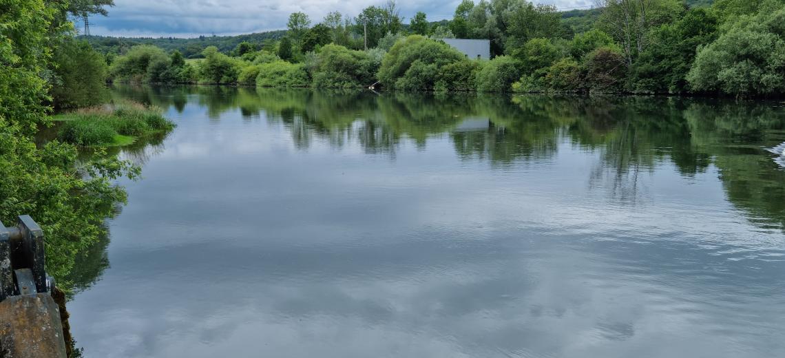 20240623_154042_4 © CD25 20240623_154042_4 © CD25