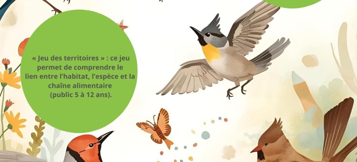 LA MALLE DU JEU D’OISEAUX - 1 © Libre de droit