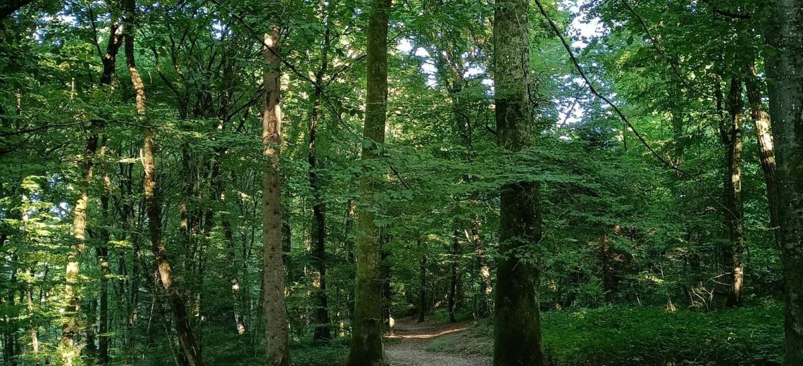 Sentier ludique de la Côte Roux © OTPM