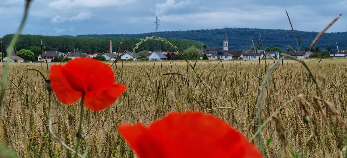 20240623_154402_3 © CD25 20240623_154402_3 © CD25