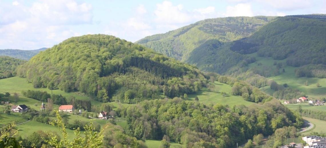 Mercredi découverte : Randonnée au Mont Julien © Mona +