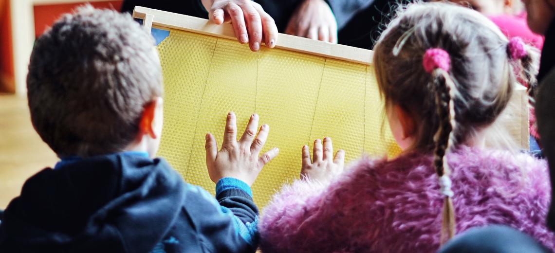 2026-02-04 activté abeille exemple S.durbic PMA © S.durbic PMA