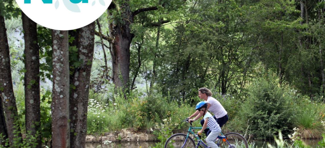 Les arbres remarquables ©  Périples & Cie pour PMA