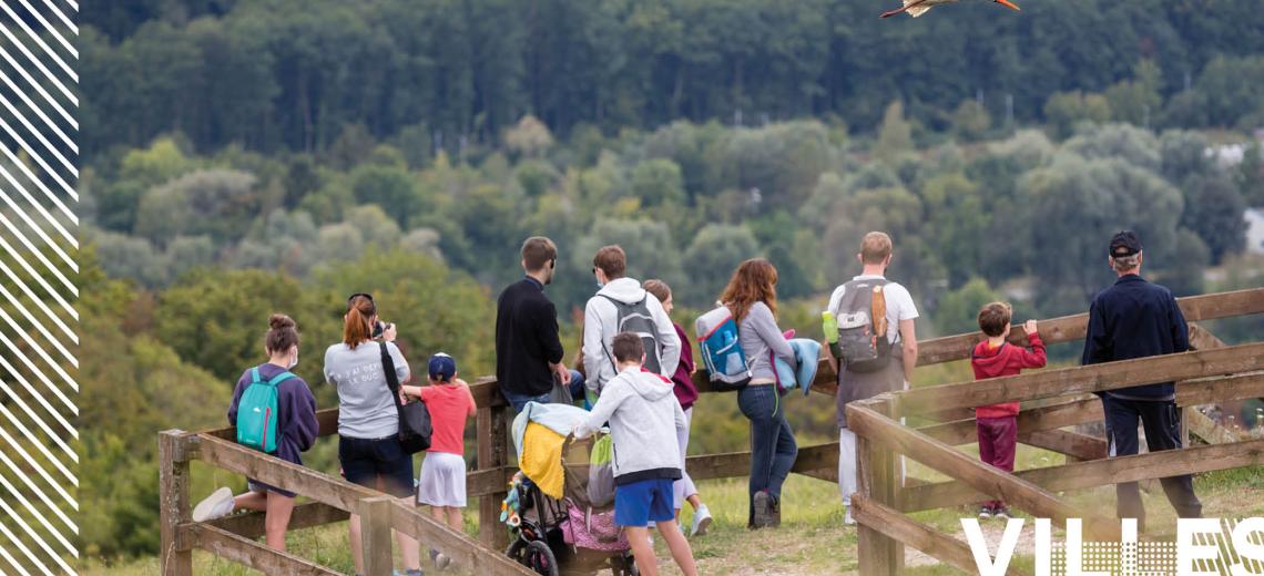 Observation des oiseaux migrateurs © Mona +