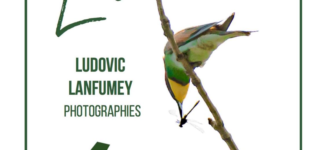 Vernissage exposition L'envol © ASCAP