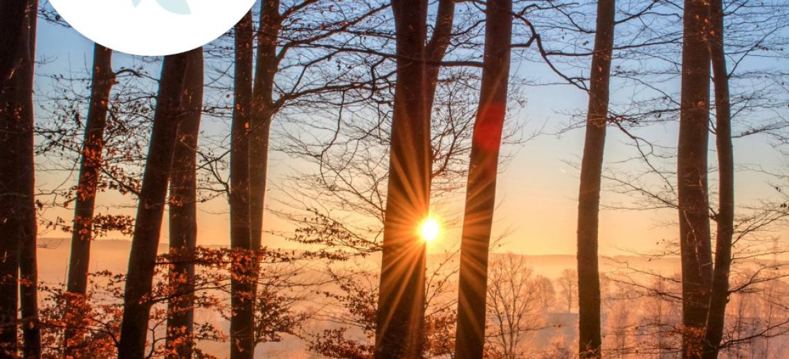 Balade crépusculaire © Mona +