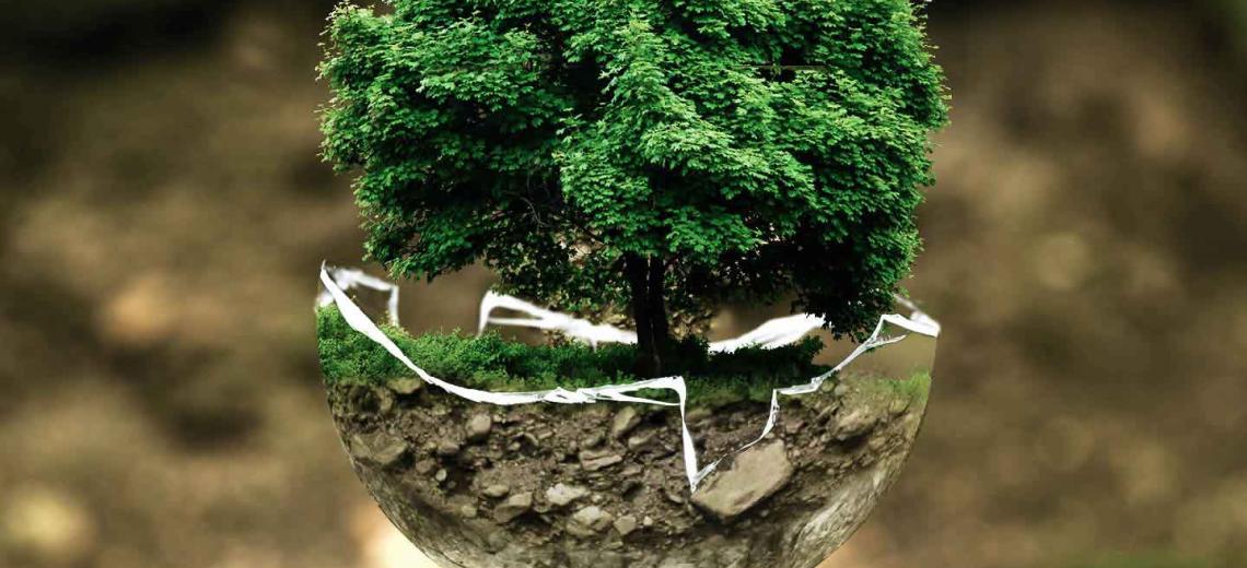 nature-environnement © Pixabay libre de droit