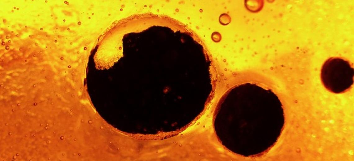 EXpo photo Claude NARDIN Macro des vitraux © Engrenages artistiques