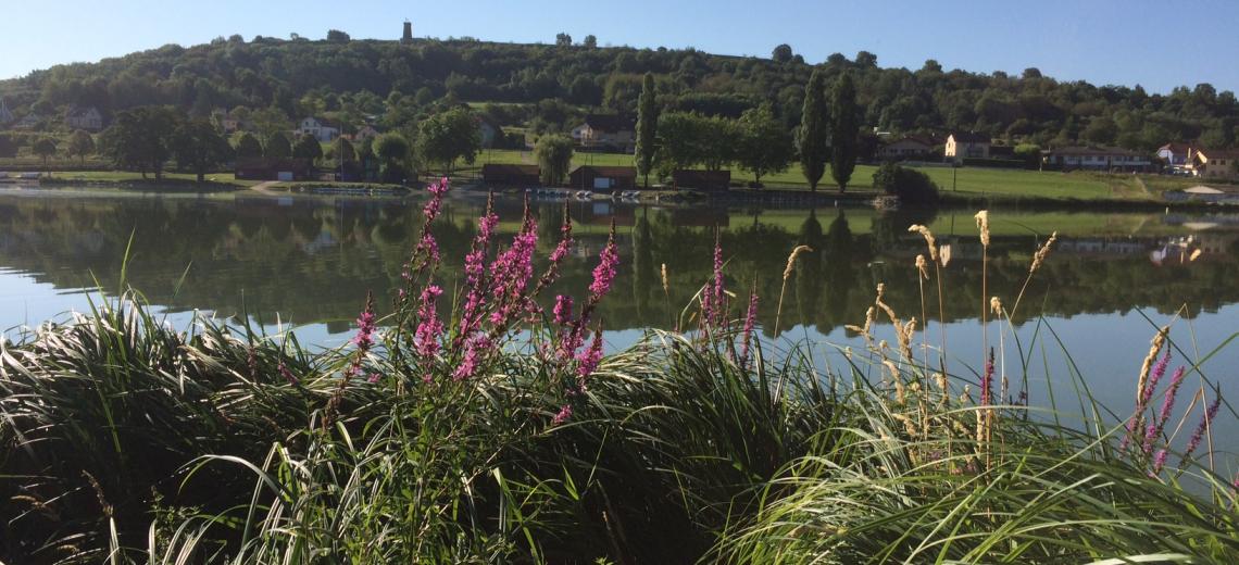 Etang des Forges © camping
