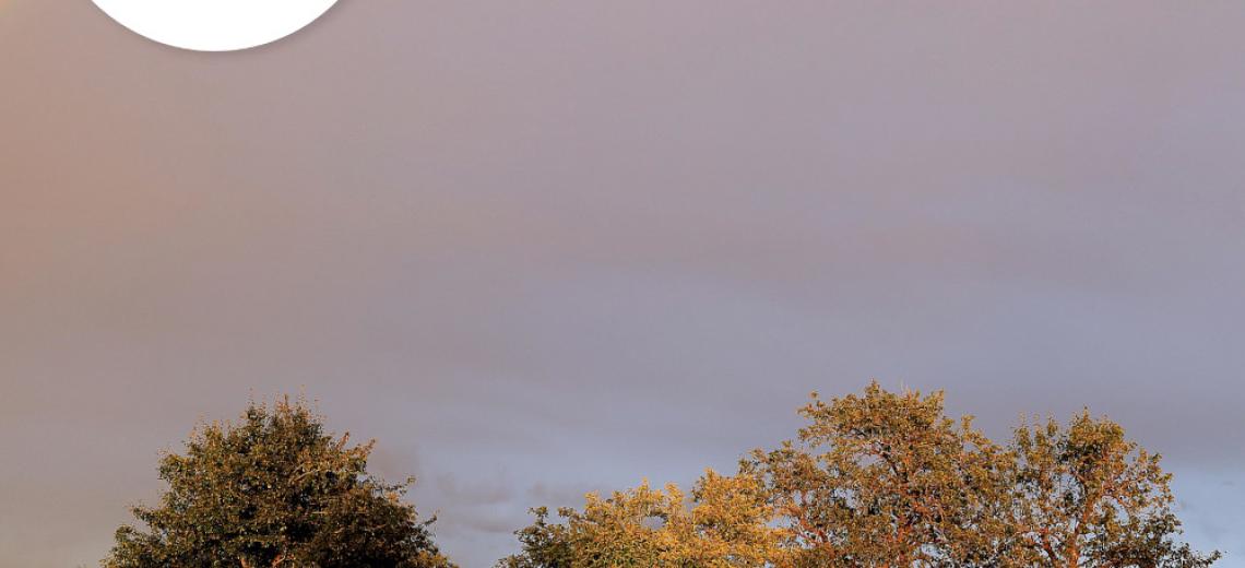 La lumière de l'arc-en-ciel et des étoiles ©  Pixabay