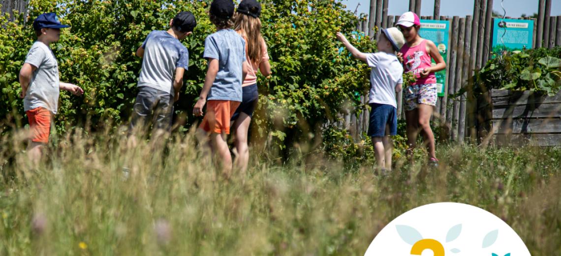 Les p'tits dans la nature © Mona +