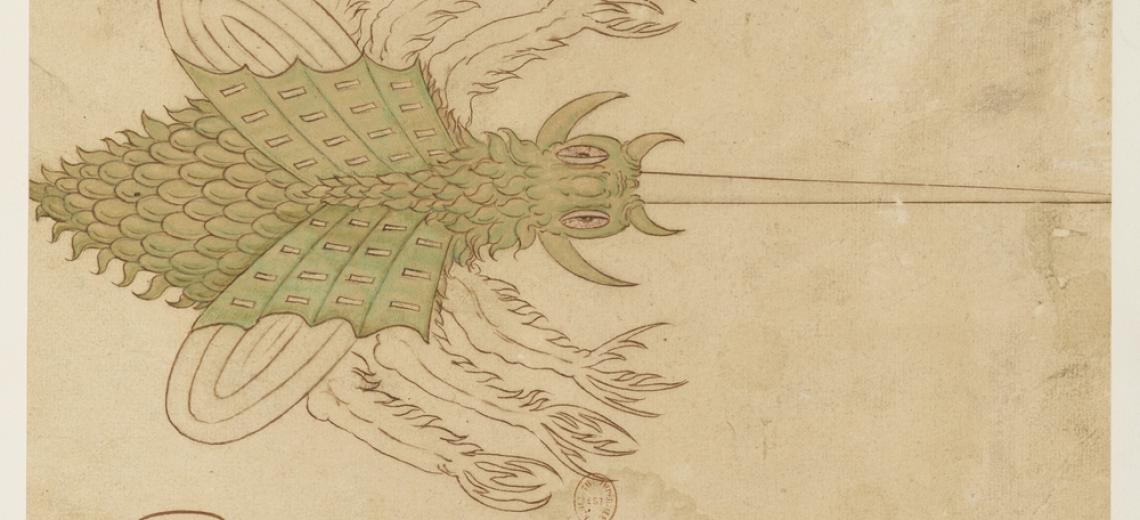 Conférence ' Des mouches venues de Montbéliard  ' © Jean Rabel, Sorte de mouches descendues des montagnes de l’Allemagne (extrait), 16e siècle, cote : RESERVE ED-10 (A)-FOL  Bibliothèque nationale de France