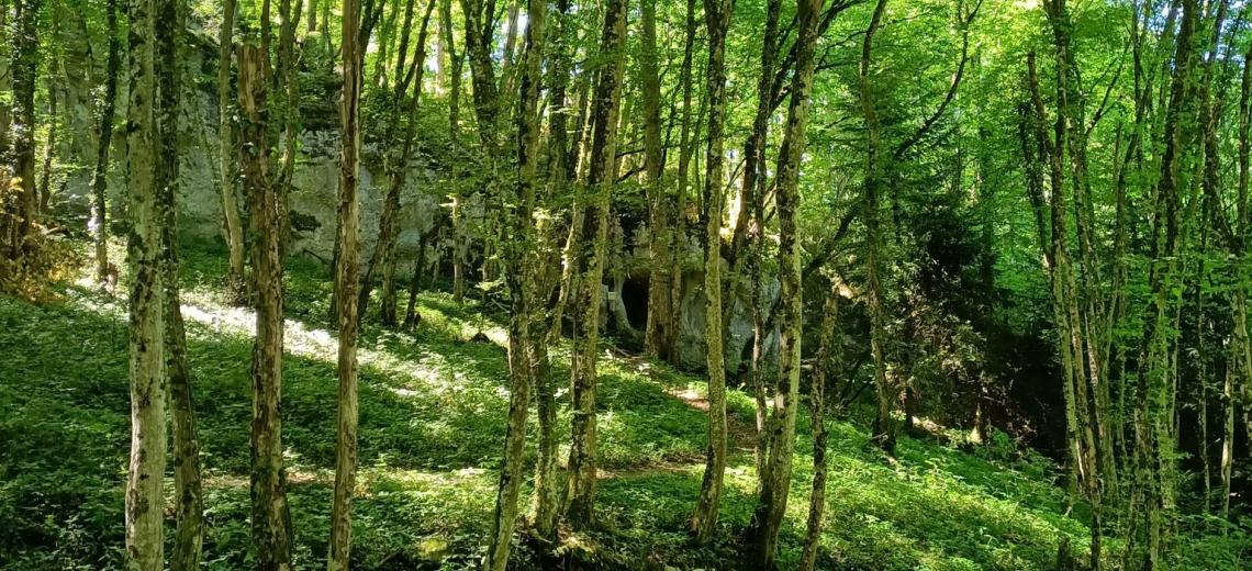 Randonnée Blamont (5) Randonnée Blamont (5)