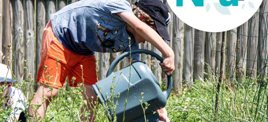 Un jardin économe en eau © Mona +