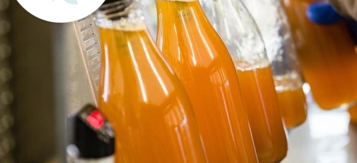 Visite guidée des vergers et du pressoir © Mona +